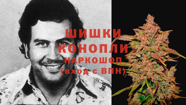 стафф Краснотурьинск
